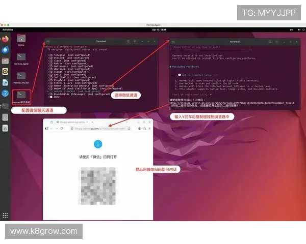 全面解析K8恒峰网站的注册流程与账号管理技巧，助您轻松上手游戏
