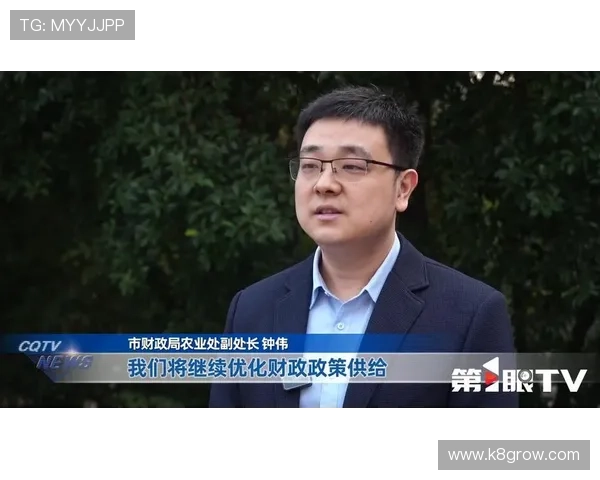 深入分析K8凯发真人游戏的操作流程与玩法技巧,提升你的胜率和娱乐体验
