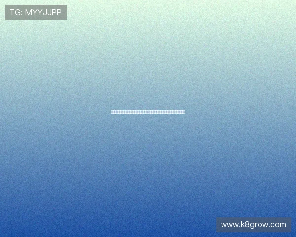 新西兰比利时世界杯比赛数据分析：战术布局、球员表现与比赛结果
